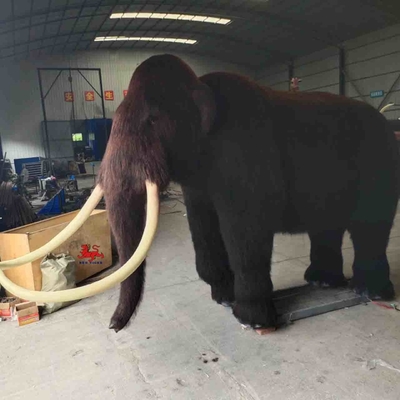 Dimensioni personalizzate Animali animatronici realistici Mammut Modello Età adulta