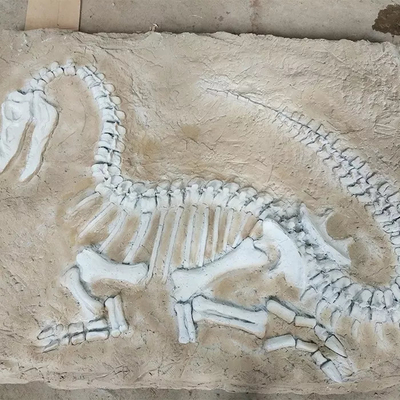 Replica a grandezza naturale del dinosauro, fossile della replica del dinosauro per le attività commerciali