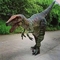 Il dinosauro raptor, vero costume di dinosauro, in vendita.