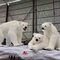 Realistico Animatronic a grandezza naturale Orso polare Personalizzato Disponibile 12 mesi di garanzia