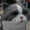 Gatto Animatronic realistico a grandezza naturale, gatto adorabile parlante interattivo