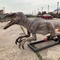 Rapace di dinosauro Animatronic realistico del parco a tema con movimento e personalizzazione del suono