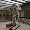 Centro commerciale Dimensioni della replica dello scheletro di dinosauro Fossile di teschio di dinosauro personalizzabile