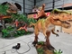 Giro su misura di lunghezza del centro commerciale sulla camminata realistica di manifestazione del dinosauro