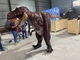 Personalizzazione in grandezza naturale Costume di dinosauro realistico per la sala giochi