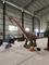 Dinosaur Park 3D Autentica Animatronic Dino Personalizzazione