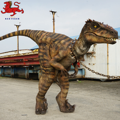 Costume da Velociraptor Animatronic, Costume da dinosauro adulto artificiale