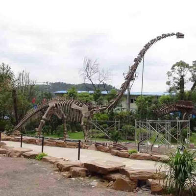 comprare Grande scheletro di dinosauro all'aperto, scheletro di modello di dinosauro Sunproof online manufacture