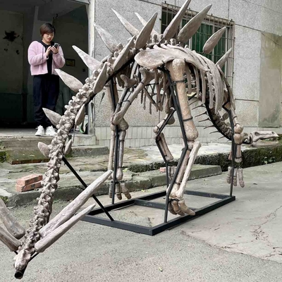 comprare Mostra Scheletro di dinosauro di Jurassic Park, repliche di ossa di dinosauro online manufacture