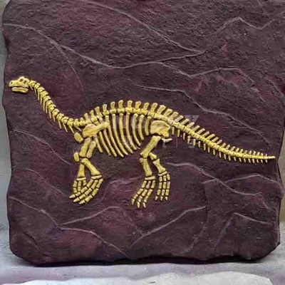 comprare Modello di replica dello scheletro di dinosauro all'aperto a grandezza naturale approvato RoHS online manufacture