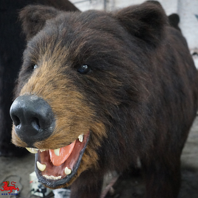 comprare Animali Animatronic realistici fatti a mano a grandezza naturale con movimento / personalizzazione del suono online manufacture
