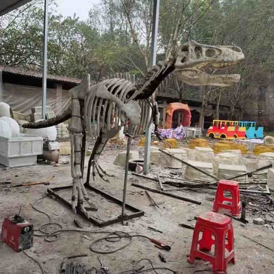 comprare Replica a grandezza naturale all'aperto/dell'interno del cranio del dinosauro, repliche fossili di dinosauro online manufacture