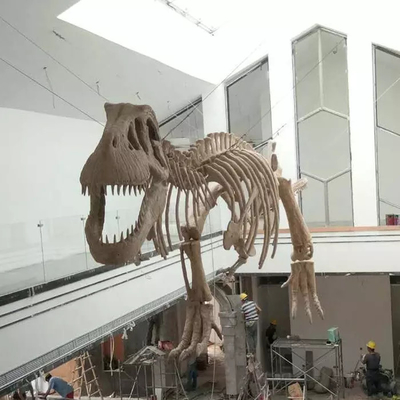 comprare Replica dello scheletro di dinosauro da interno, età giovanile, 12 mesi di garanzia online manufacture