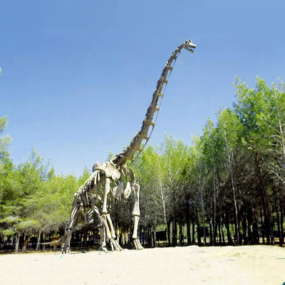 comprare Replica realistica dello scheletro di dinosauro / Jurassic World Replica per interni online manufacture