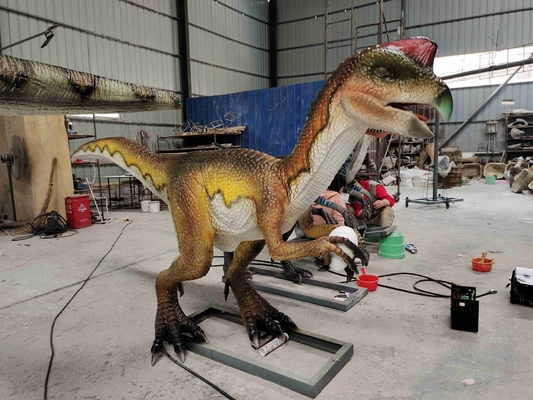 comprare Velociraptor Animatronic del parco a tema del robot realistico adulto del dinosauro online manufacture