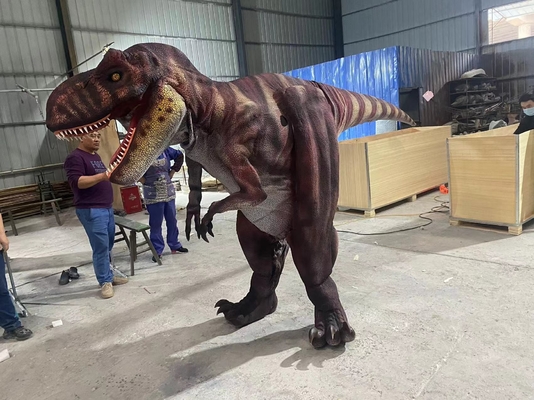 Personalizzazione Costume animatronico Dragone gigante con controllo vocale