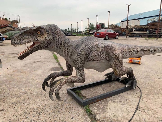 comprare Dinosauro del parco a tema del modello del Velociraptor del dinosauro Animatronic realistico a grandezza naturale online manufacture