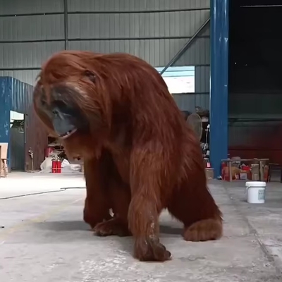 comprare Costumi di gorilla realizzati su misura per usi commerciali interni online manufacture