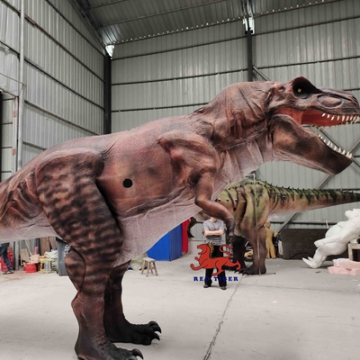 Costume da dinosauro realistico da museo Suoni lunghi per età adulta da 8 m personalizzati