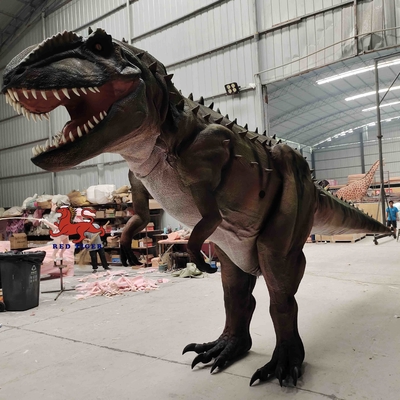 Personalizzazione Costume da dinosauro realistico Modello di Carcharodontosaurus