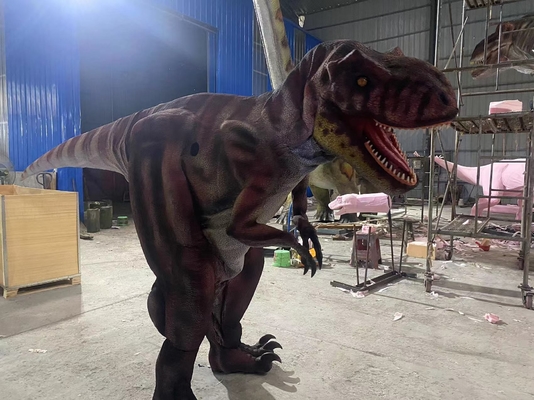 Personalizzazione in grandezza naturale Costume di dinosauro realistico per la sala giochi