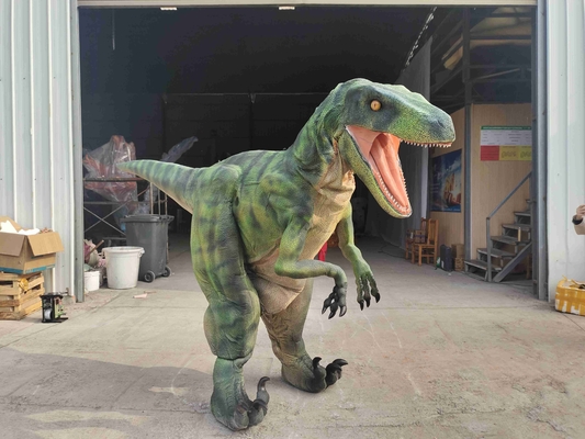 Good price Centro commerciale La vita come un dinosauro Costume CE RoHs in linea