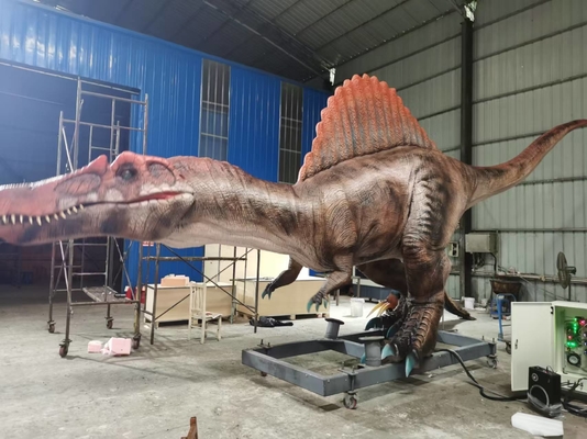 Dimensioni reali Animatronici Dinosauro Spinosauro Servomotori Ampia gamma di movimenti