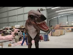 Personalizzazione Costume di dinosauro realistico Modello di Carcharodontosaurus