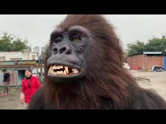 Gorilla animale di Fursuit del vestito di vestito di Halloween della peluche dalla mascotte realistica adulta simile a pelliccia dei costumi